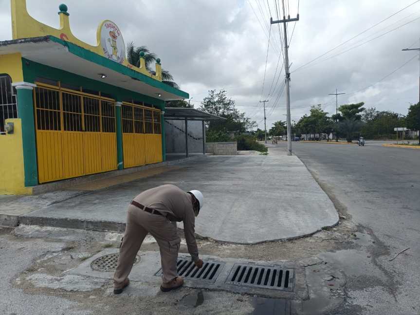 Cozumel refuerza acciones para prevenir enfermedades transmitidas por&nbsp;mosquitos.