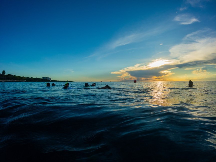 Promueve la FPMC conciencia ambiental con snorkel al atardecer en&nbsp;Chankanaab