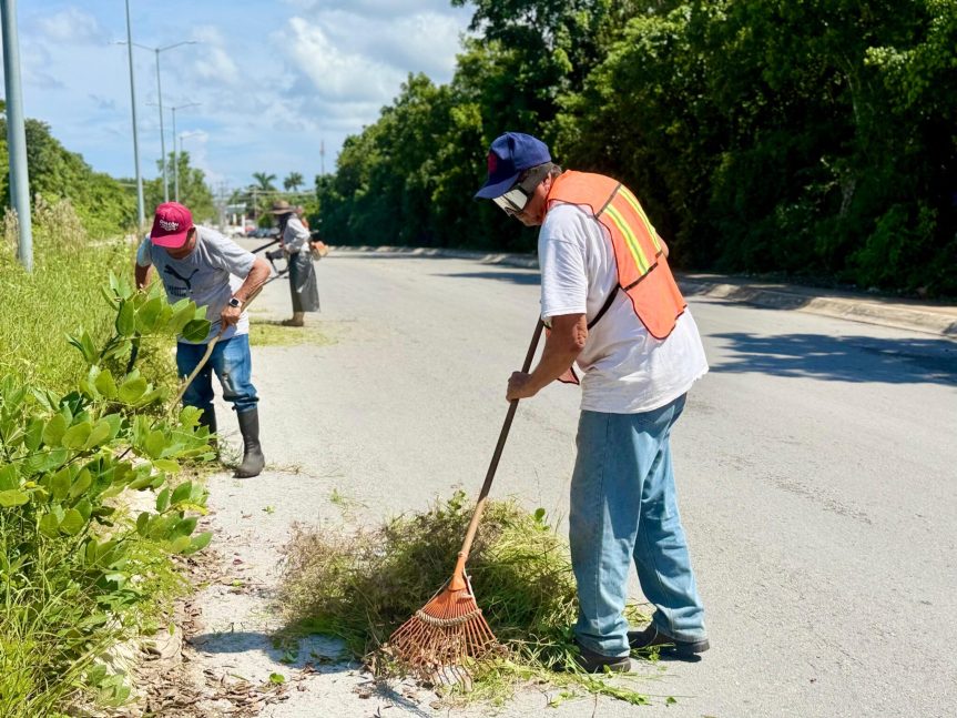 Gobierno de Chacón realiza trabajos preventivos de limpieza y mantenimiento&nbsp;urbano