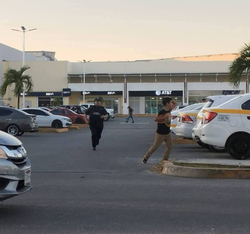 Abejas africanizadas desatan alarma en Plaza Las Américas de&nbsp;Chetumal