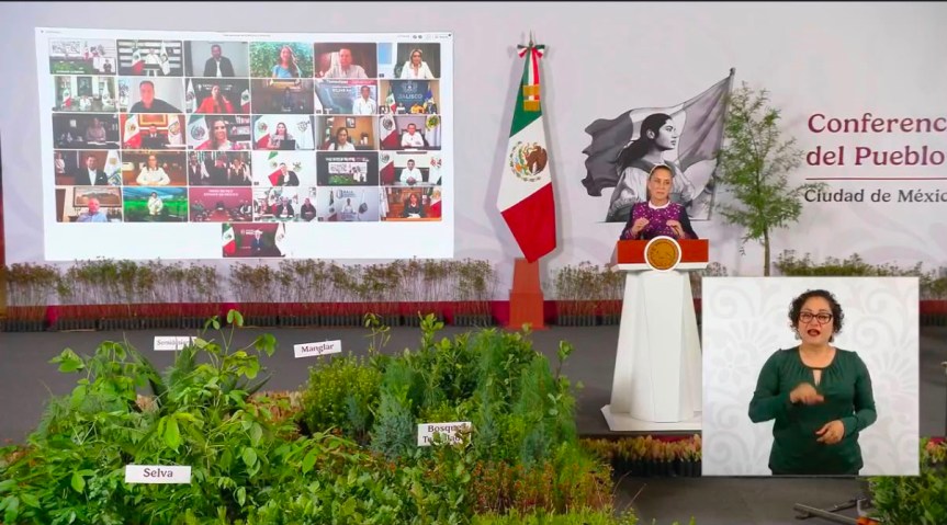 Quintana Roo se suma a la Jornada Nacional de Reforestación 2026 para restaurar ecosistemas en el sur del&nbsp;estado