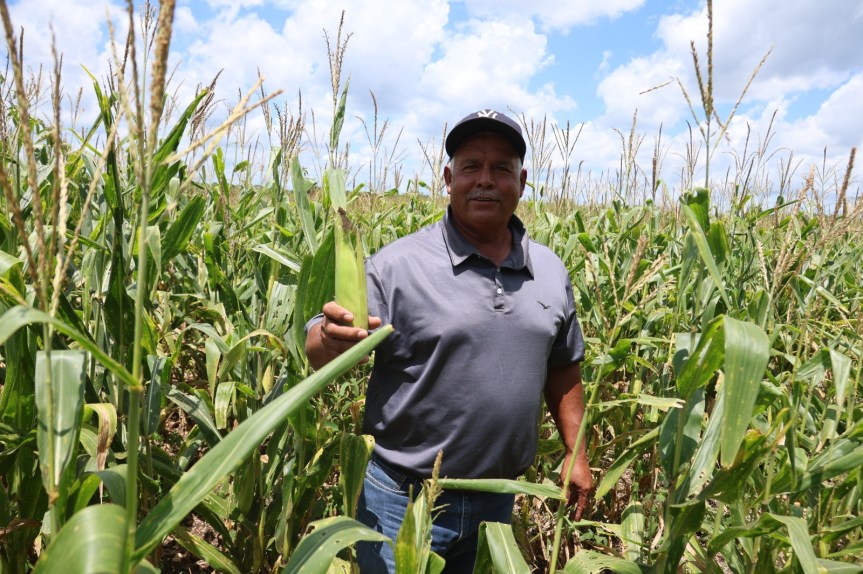 Apoyo al campo rinde frutos y el sector agropecuario crece un 26.7 por ciento en Quintana&nbsp;Roo