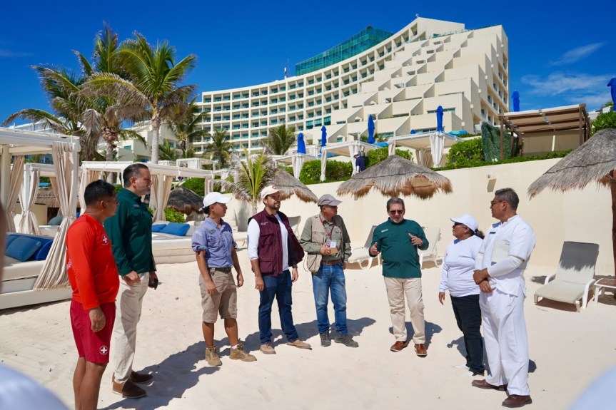 Verifica Dirección General de Ecología manejo de corral de protección de tortugas marinas en hotel Live Aqua&nbsp;Cancún