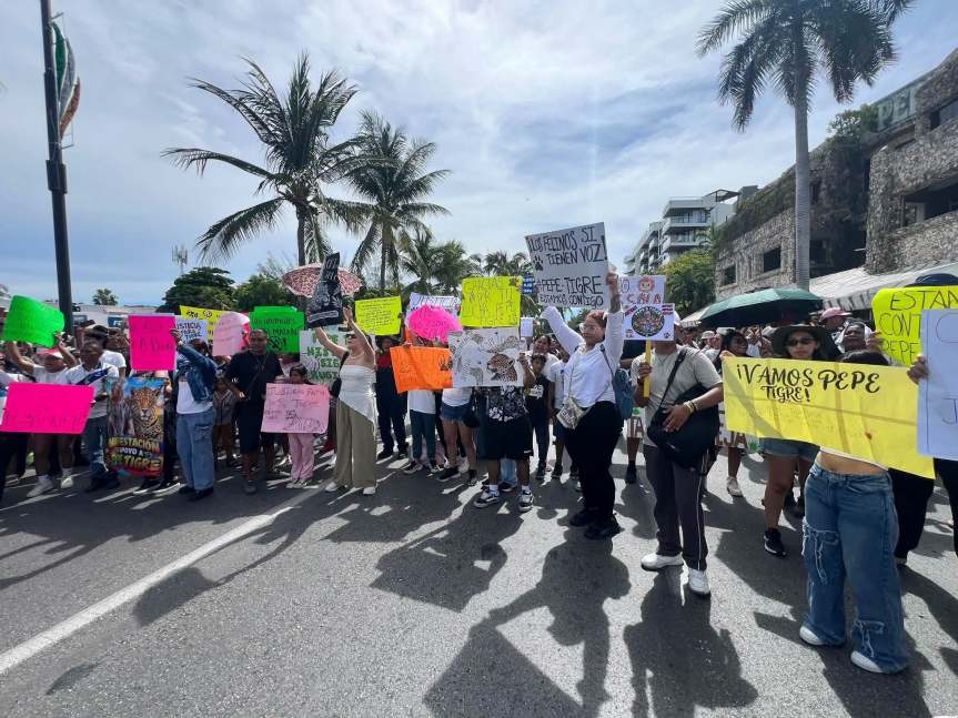 Protestan en Cancún por el futuro de los felinos bajo resguardo de “Pepe&nbsp;Tigre”